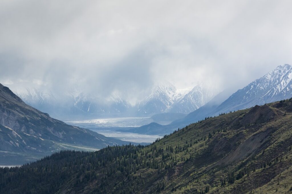 Photo Snowy landscape